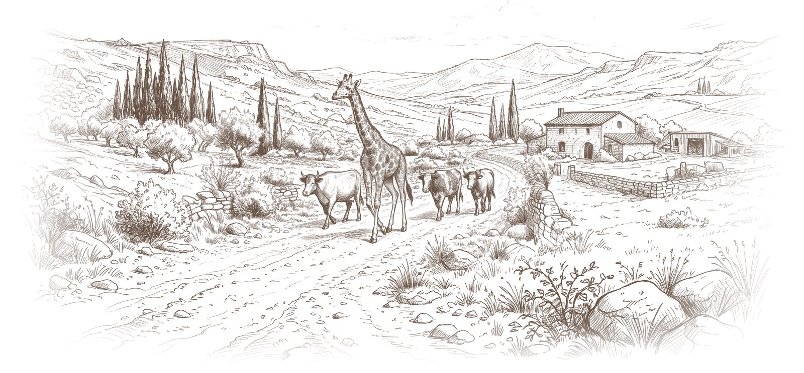 A giraffe and three cows walking a country road
